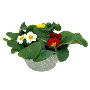 Ruitjes Groen Zink 3xprim gemengd 660