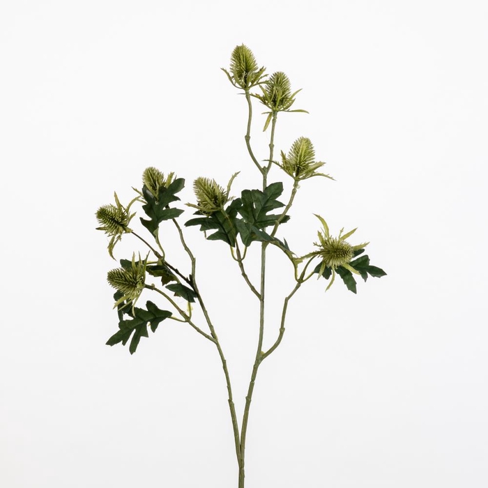 <h4>AF Eryngium L69cm Green</h4>