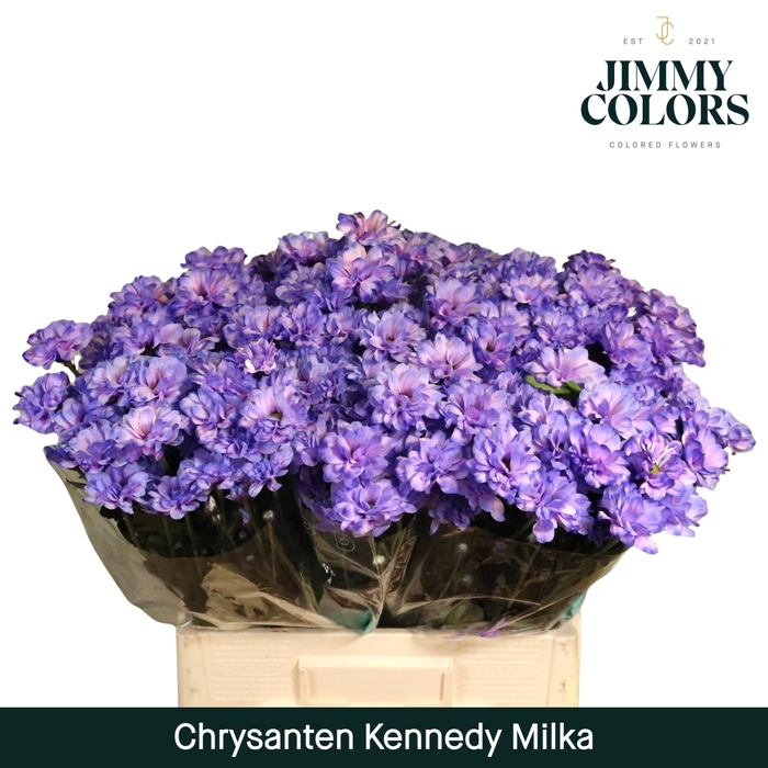 <h4>Chr T Kennedy Milka</h4>