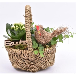 Wilg touwmand ovaal 20x15cm