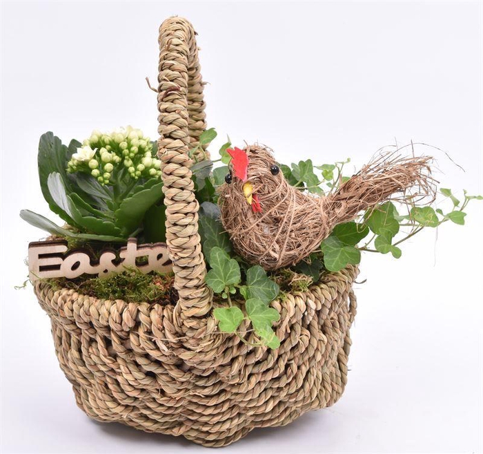 <h4>Wilg touwmand ovaal 20x15cm</h4>