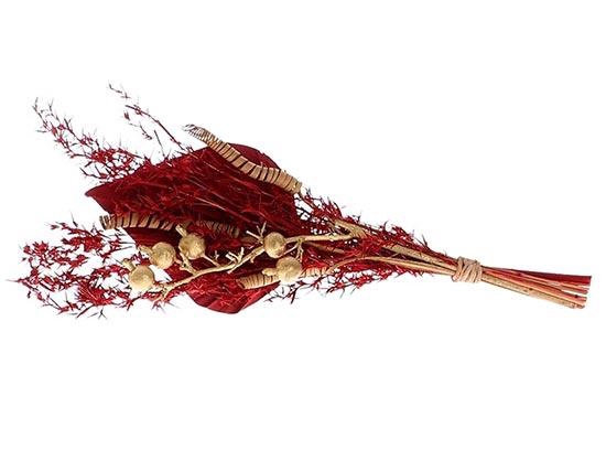 Bouquet Alpha Grass Palm Spring L30