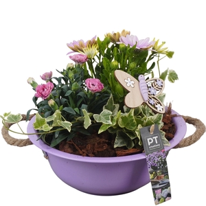 PTPP6833 Arrangement Patio in metalen schaal