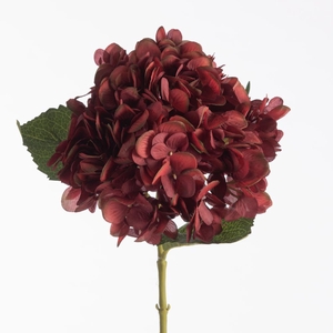 AF Hydrangea L64cm d.red