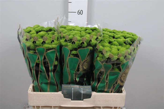 <h4>Chr S Aaa Peptalk</h4>