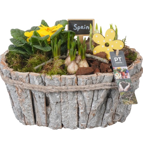 <h4>PTBM3165 Arrangementen Tuinplanten</h4>