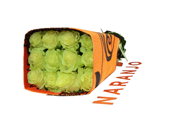 <h4>R GR MONDIAL Naranjo</h4>