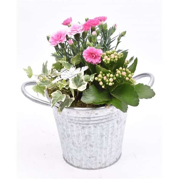 <h4>Zink emmer met oor gy. 16cm</h4>