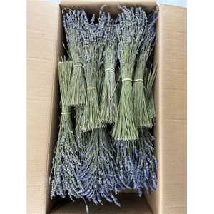 Dried Lavendel Super Blue Bs