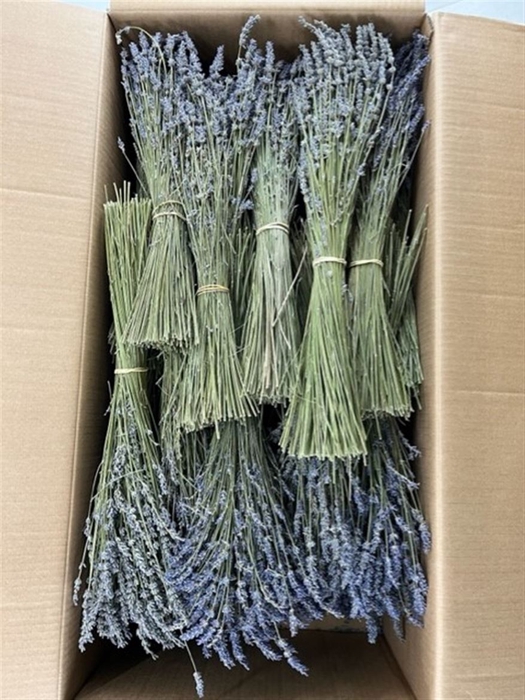 <h4>Dried Lavendel Super Blue Bs</h4>