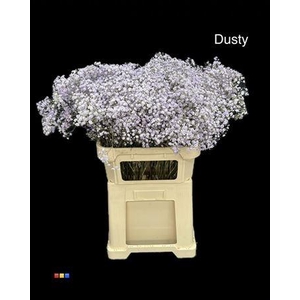 Gyps Xlence Dusty Pastel Milka