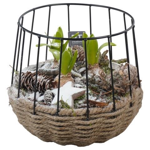 <h4>Opm Pt PTWH7734 Winter Metaal Mand + Touw</h4>