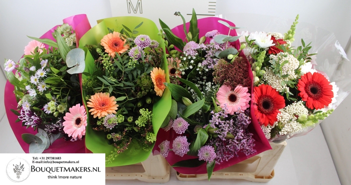 <h4>GEM BOEKET OV</h4>