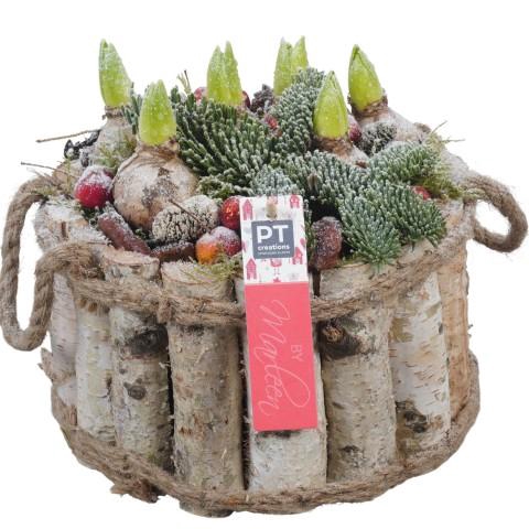 <h4>PTHCH6736 Arrangementen Hyacinthus</h4>