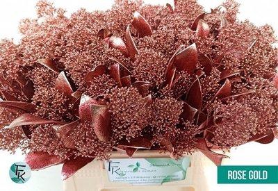 <h4>Skimmia paint rose gold</h4>