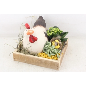 arr2 PL - Hout dienblad 4kant kip