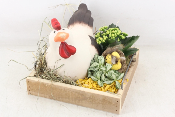 <h4>arr2 PL - Hout dienblad 4kant kip</h4>