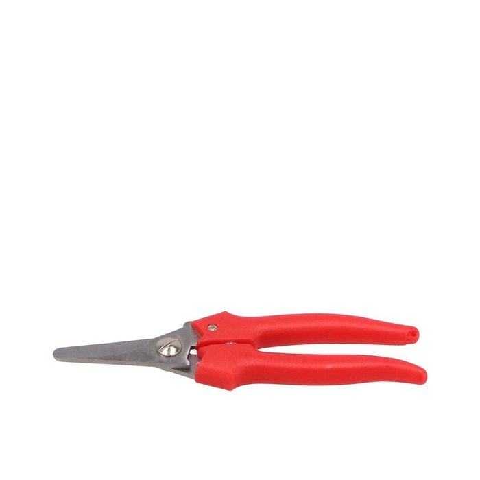 <h4>Floristry Hobby Scissors Big Red Budget</h4>