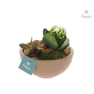 Schaal keramiek Moon Small beige met Arrangement