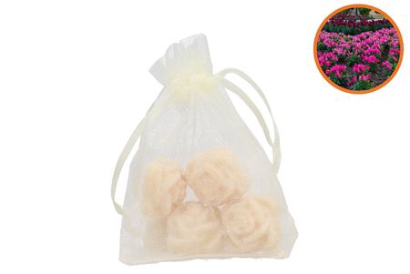 <h4>Amber Mini Roos 4 In Zakje Sultan</h4>