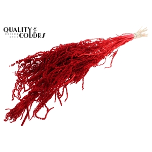 Hang Amaranthus ±70cm Preserved per bunch Bleached Red