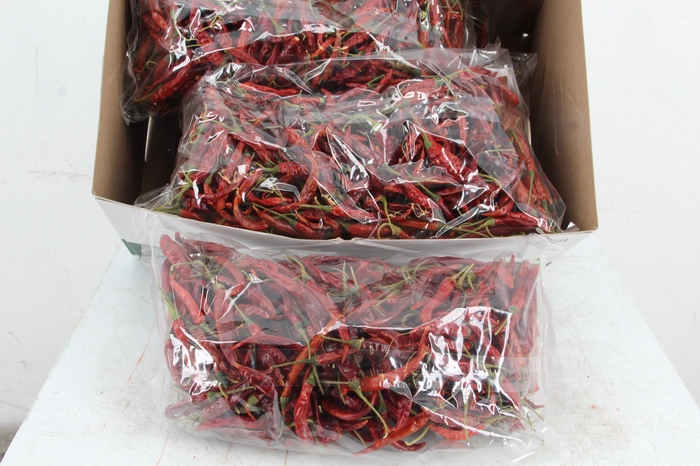 <h4>Frt Chilli Long Red (250g)</h4>