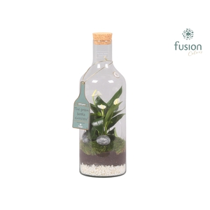 Green Bottle Fles Medium met Anthurium
