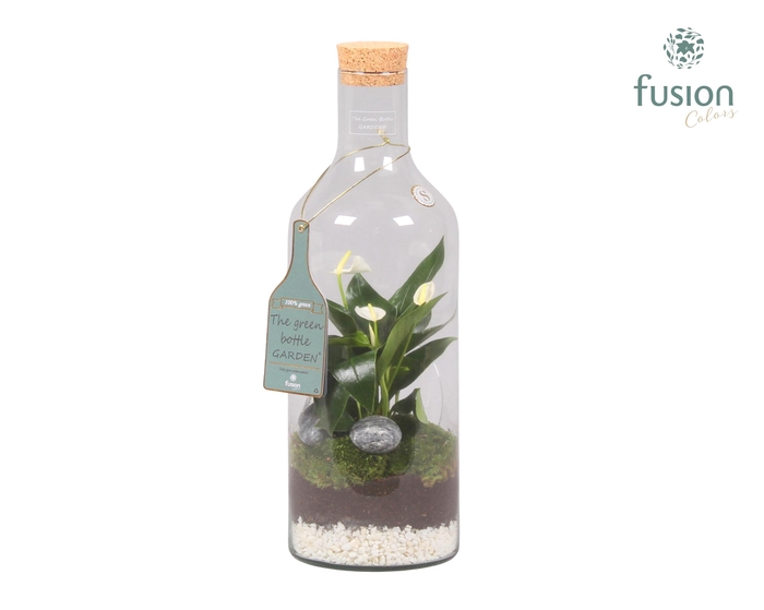 <h4>Green Bottle Fles Medium met Anthurium</h4>