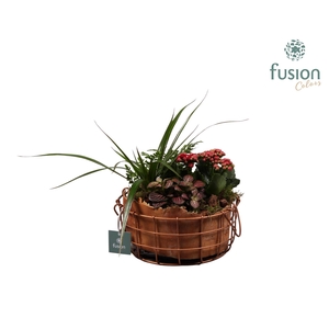 Mand metaal Large rond met Arrangement