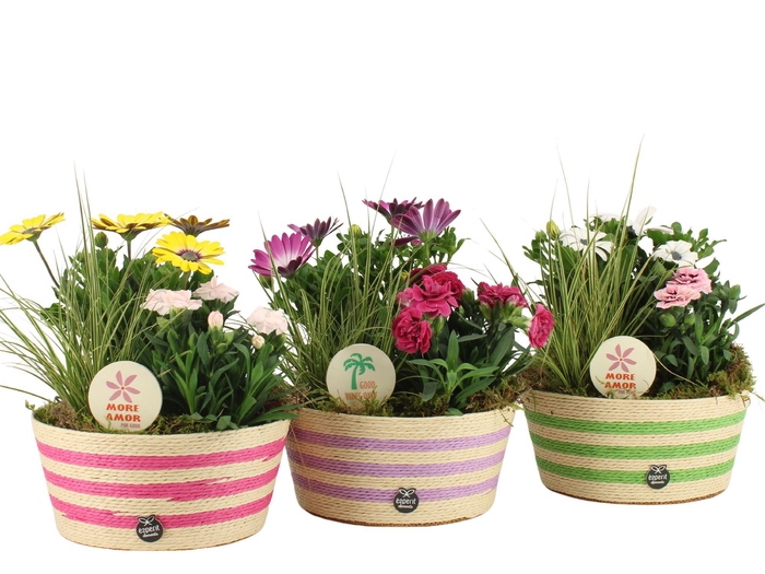 <h4>31601: Outdoor summer arrangement</h4>