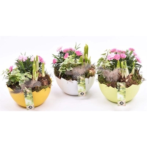 Kunsstof eischaal 17cm