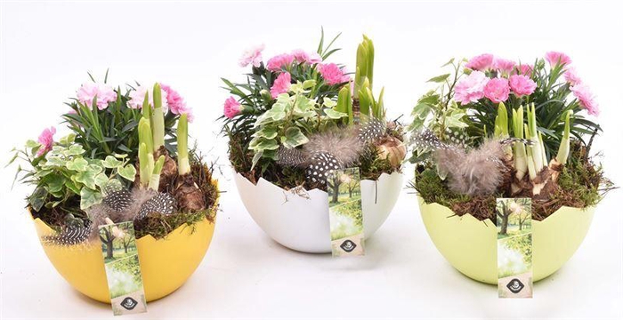 <h4>Kunsstof eischaal 17cm</h4>