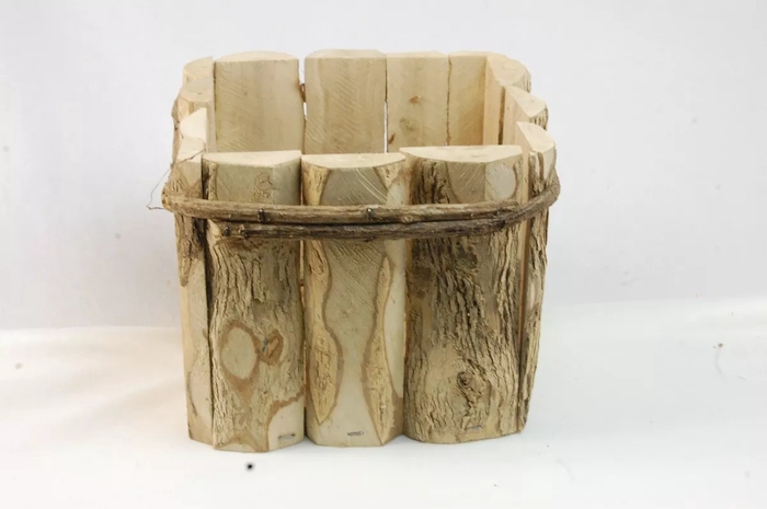 <h4>CACHEPOT CAFE POTE 11</h4>