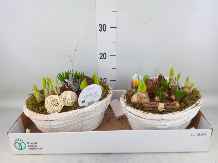 <h4>Arr.   Bol/Knolgewas L%</h4>