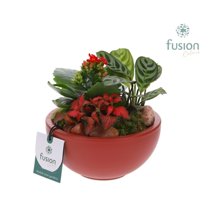 Schaal keramiek Moon Small marsala rood Love met arrangement