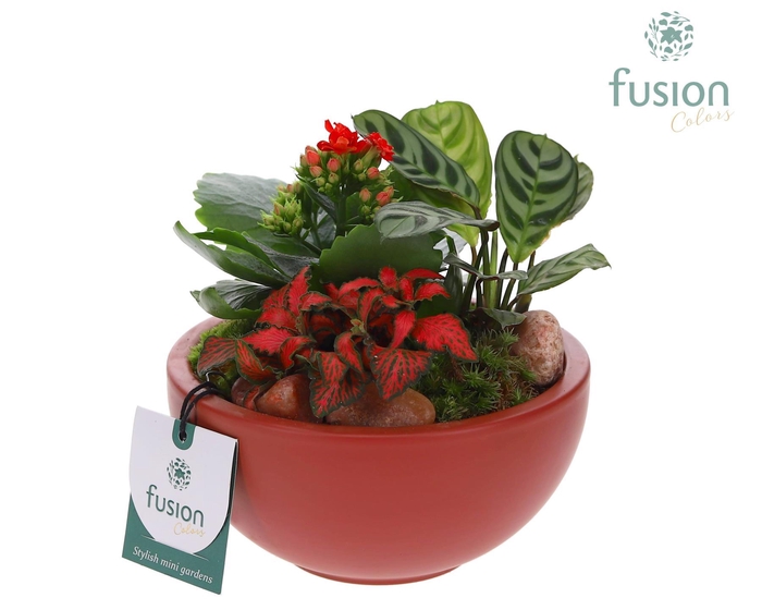 <h4>Schaal keramiek Moon Small marsala rood Love met arrangement</h4>