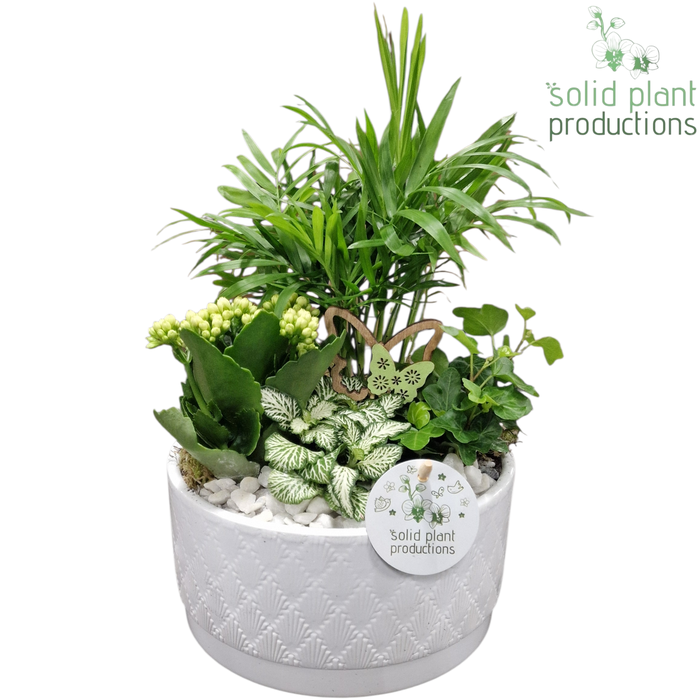 <h4>CH003 Loes White</h4>