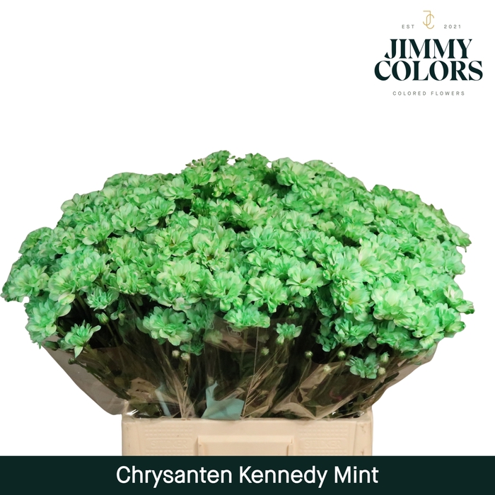<h4>Chr T Kennedy Mint</h4>