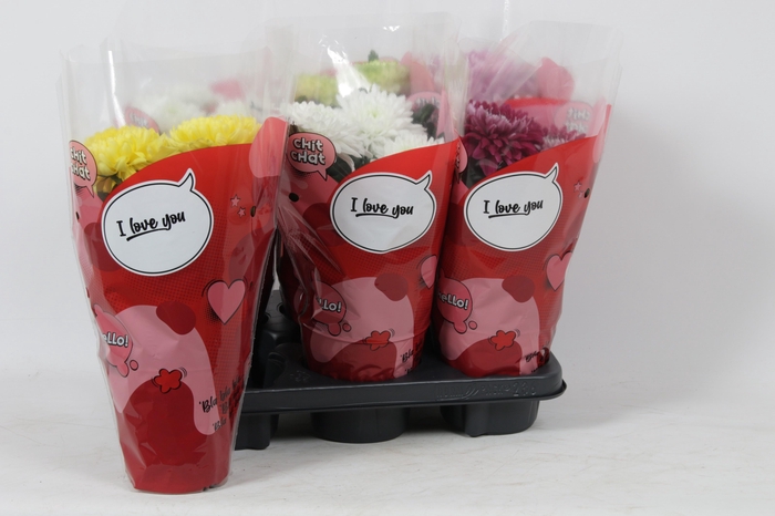 <h4>CHRYS ZEMBLA</h4>