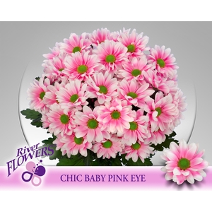 Chic Baby Pink Eye 90 gram