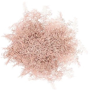 Koraal Champagne Glitter