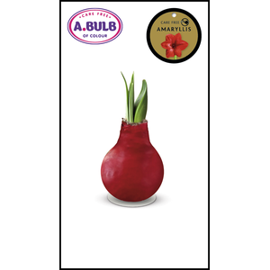 A.BULB of Colour - 28cm Red Waxed