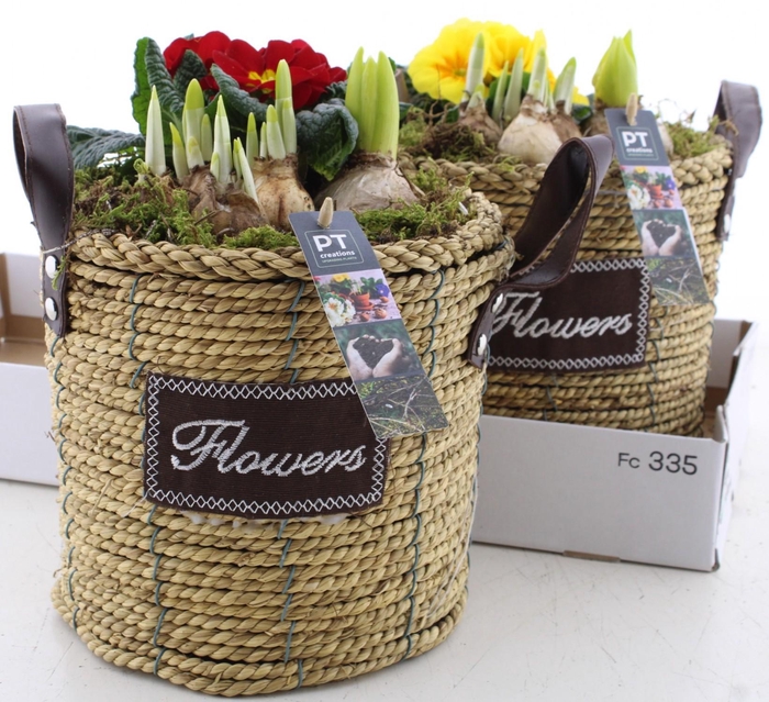 <h4>ARR PL IN SCHAAL</h4>