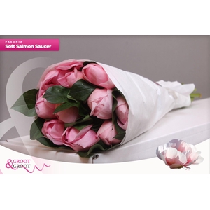 Paeonia Soft Salmon Saucer