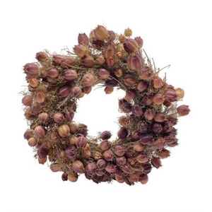 Wr Nigella 30cm