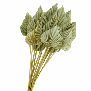 Dried Palm Spear Small Natural