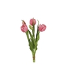 Tulipa boeket 43cm x5