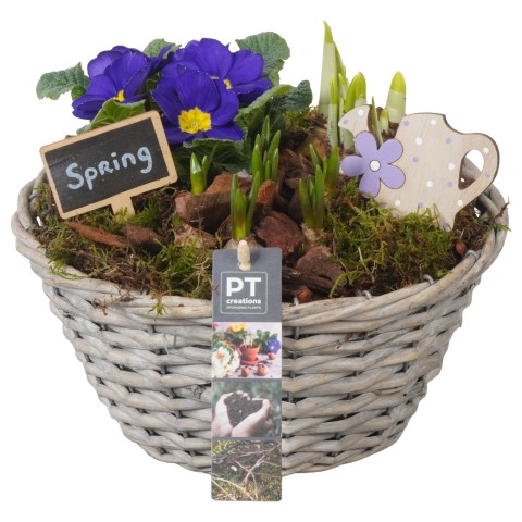 <h4>PTBM3091 Arrangementen Tuinplanten</h4>