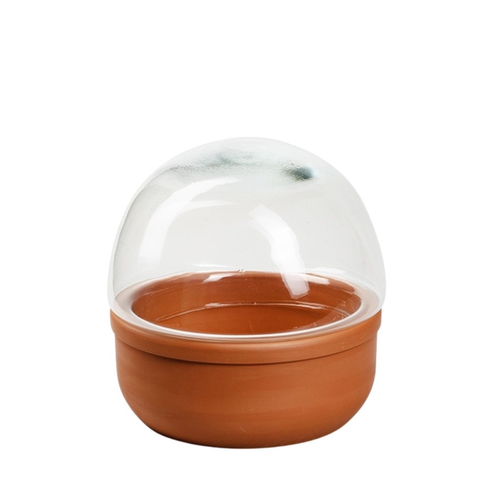 Glass Cloche+bowl Sintra d17*17cm