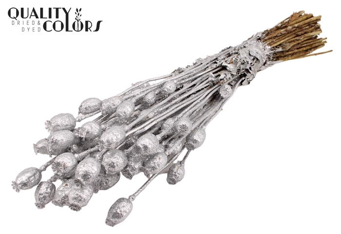 Papaver per bunch Silver + Glitter